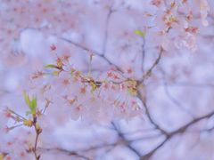 -杭州少年儿童公园