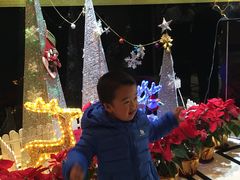 -华厦大酒店·桃源西餐厅·自助餐