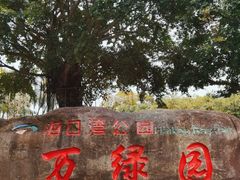 -万绿园