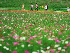 -光明小镇欢乐田园