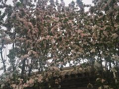 -聚德华天烤肉季·宴会厅(什刹海总店)