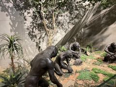 -北京周口店北京人遗址博物馆