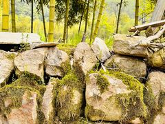 -会稽山峡洞漂流-上青古道