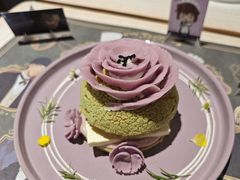-IPSTAR|潮玩星球(天府广场店)