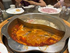 -芦苇荡·酸汤鱼(回龙观店)