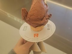 -野人先生现做冰淇淋(北京王府井东方新天地店)