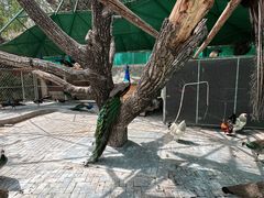 -静之湖度假区