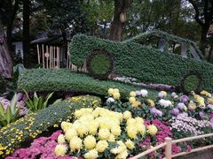 -汇龙潭
