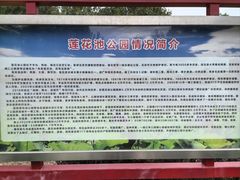 -莲花池公园