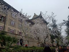 -武汉大学-樱园