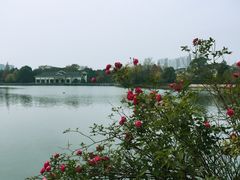 -杭州世外桃源君澜度假酒店