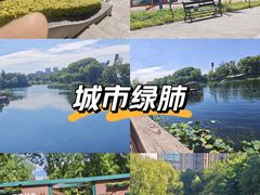 -新江湾城公园