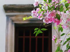 -深圳国际园林花卉博览园