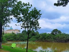 -松山湖风景区松湖烟雨