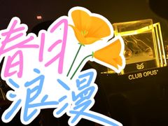 -CLUB OPUS欧贝斯酒吧(合肥店)