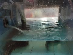 -红星光发煲仔饭(大石街店)