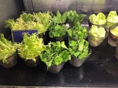 -海鼎荟海鲜姿造(晋江宝龙店)