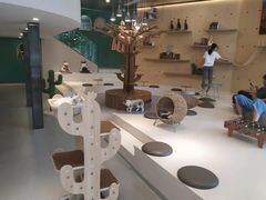 -飞行喵MR PILOT|猫舍·猫咖(静安大融城店)