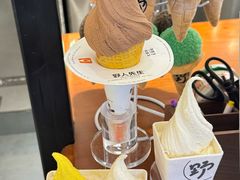 -野人先生Gelato(上海长宁龙之梦店)