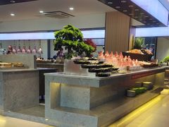 -新艺自助美食城(中山路店)