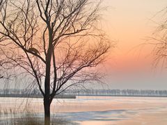 -野鸭湖国家湿地公园