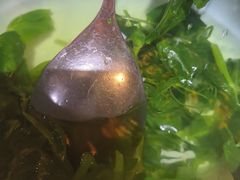 -满乡小馆