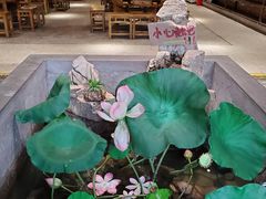 -灶东家民间菜(回兴店)