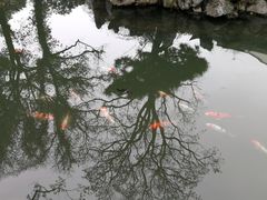 -杭州西湖柳莺里酒店·闻莺厅