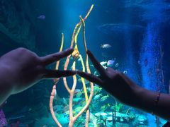 -沈阳海洋探索中心