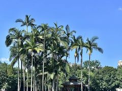 -荔湾湖公园