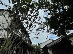 -巡塘古镇