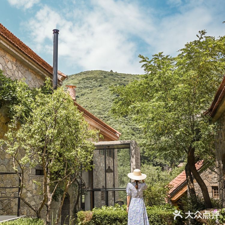 山东小瑞士🌳来感受绿林山谷里的静谧时光!