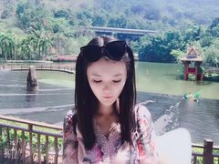 -西双版纳原始森林公园