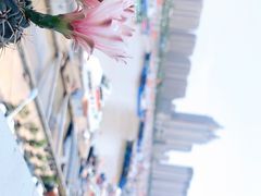 -沈家门渔港