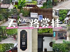 -灵隐飞来峰景区