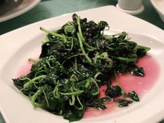 -新聚丰菜馆(太监弄店)