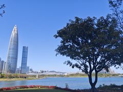-深圳人才公园