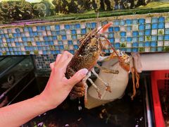 -巽寮印象美食部落餐厅·海鲜·地方特色菜(惠州体验店)
