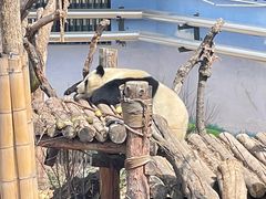 -青藏高原野生动物园