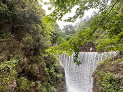 -大奇山国家森林公园