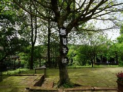 -保利石象湖景区