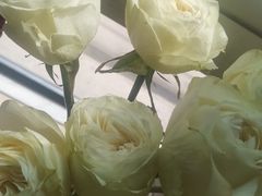 -阿莉餐厅(枣阳路店)