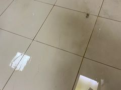 -天鹅湖温泉游泳馆