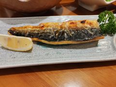 烤青花鱼-极尚·大喜屋(光启城店)
