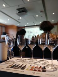 -金茂深圳JW万豪酒店·宴会厅