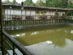 -邹记·美食(斗门店)