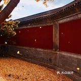 初冬的颐和园，由后山石阶而上，少有游客，唯闻雀儿鸣叫