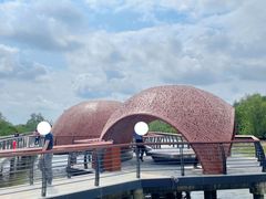 -东寨港红树林旅游区