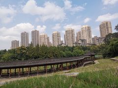 -龙头寺公园