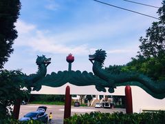 -青龙山国家森林公园